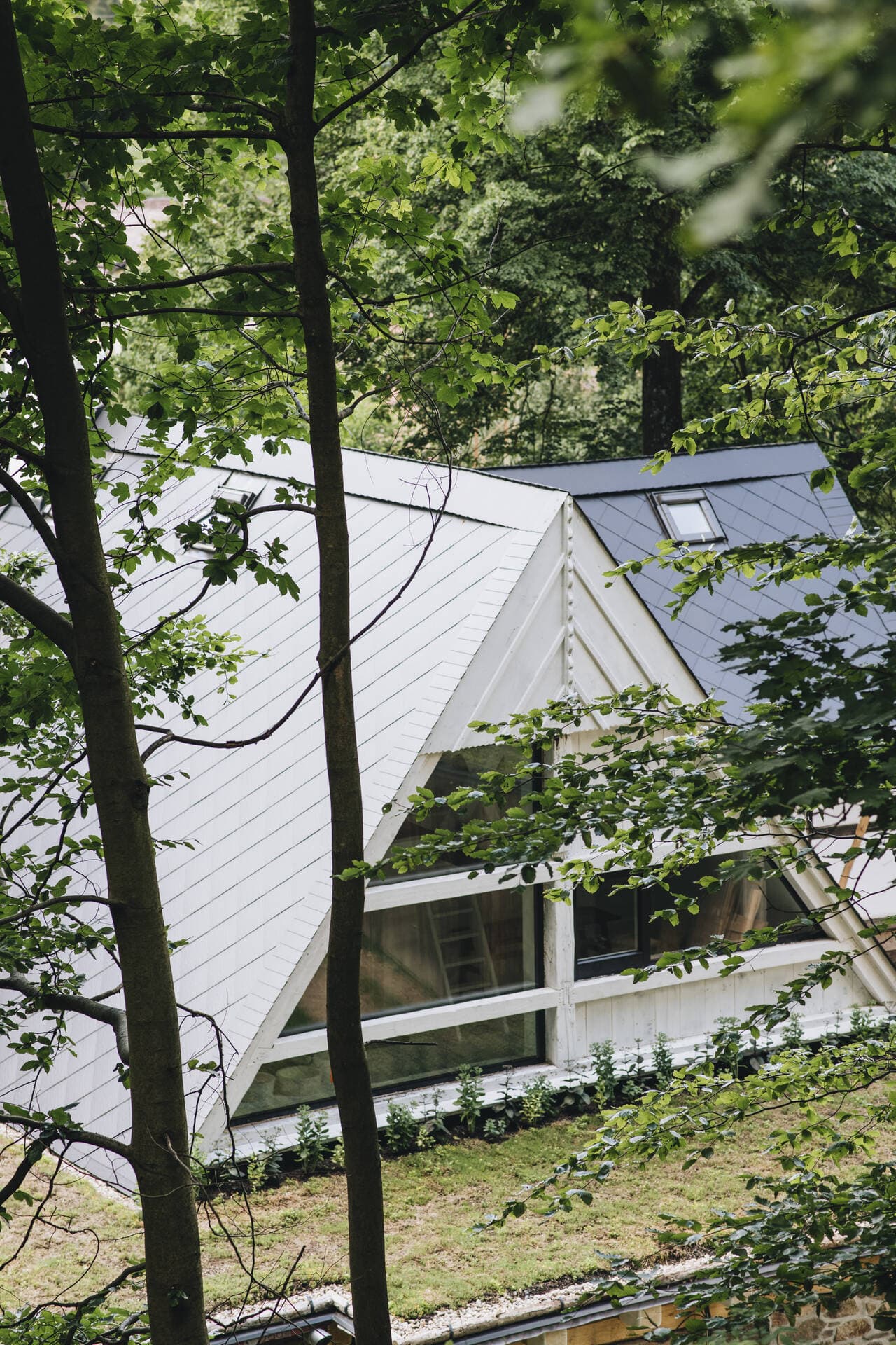 Chalupa V Bezovém Údolí